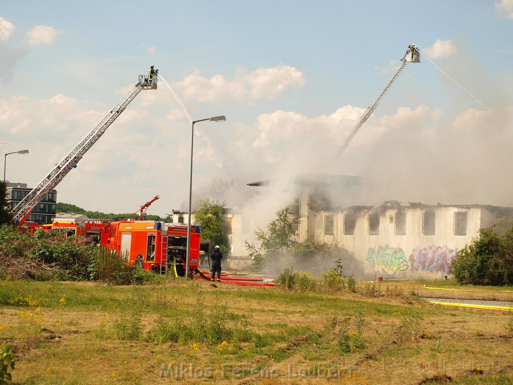 Feuer Koeln Ossendorf Butzweiler Hof neben IKEA P044.JPG